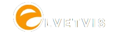 Elvetvis